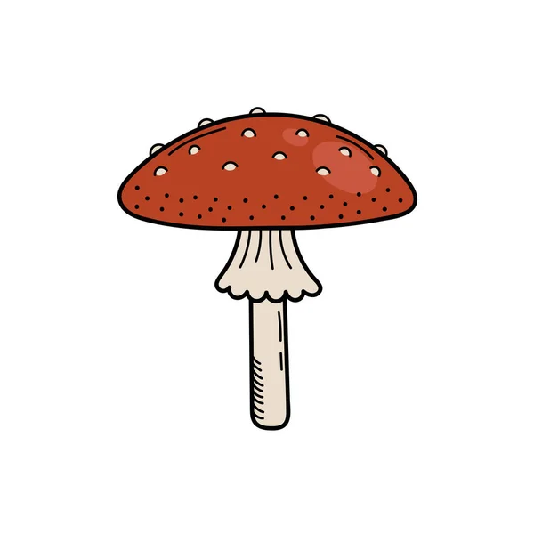 Cogumelo bonito no estilo doodle. Cogumelo venenoso, agaric da mosca, toadstool. Ilustração vetorial da mão isolada —  Vetores de Stock