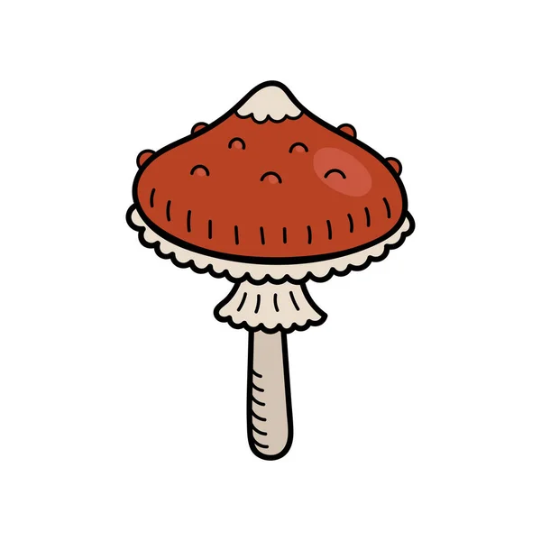 Cogumelo bonito no estilo doodle. Cogumelo venenoso, agaric da mosca, toadstool. Ilustração vetorial da mão isolada —  Vetores de Stock
