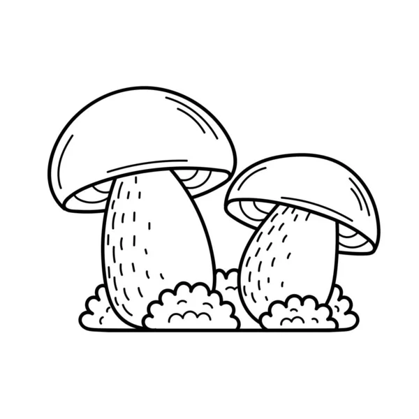 Cogumelo comestível bonito no estilo doodle. Ingredientes para cozinhar, saladas. Colheita de plantas no outono. Ilustração desenhada à mão vetorial isolada para colorir páginas, esboço, esboço —  Vetores de Stock