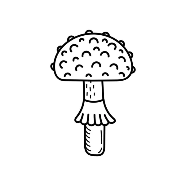 Cogumelo bonito no estilo doodle. Cogumelo venenoso, agaric da mosca, toadstool. Ilustração desenhada à mão vetorial isolada para colorir páginas, esboço, esboço —  Vetores de Stock