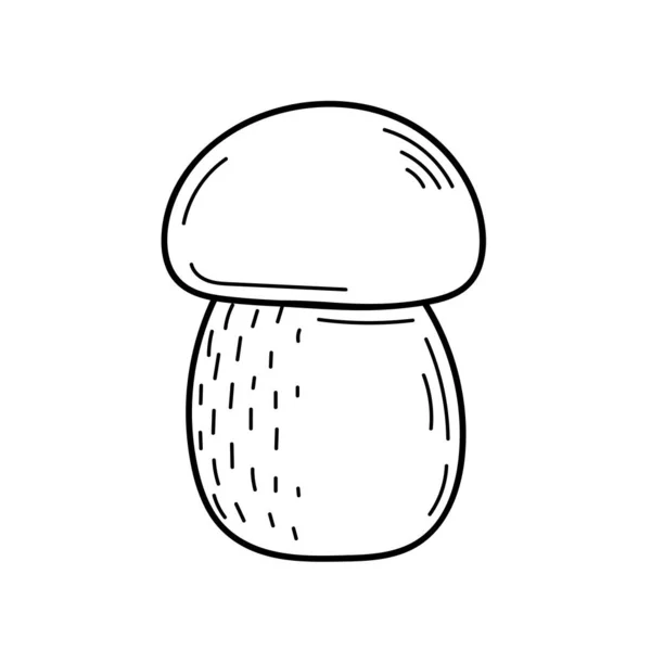 Милый съедобный гриб в стиле каракулей. Ингредиенты для приготовления пищи, салаты. Осенний сбор растений. Векторная изолированная ручная иллюстрация для раскрашивания страниц, эскиз, контур — стоковый вектор
