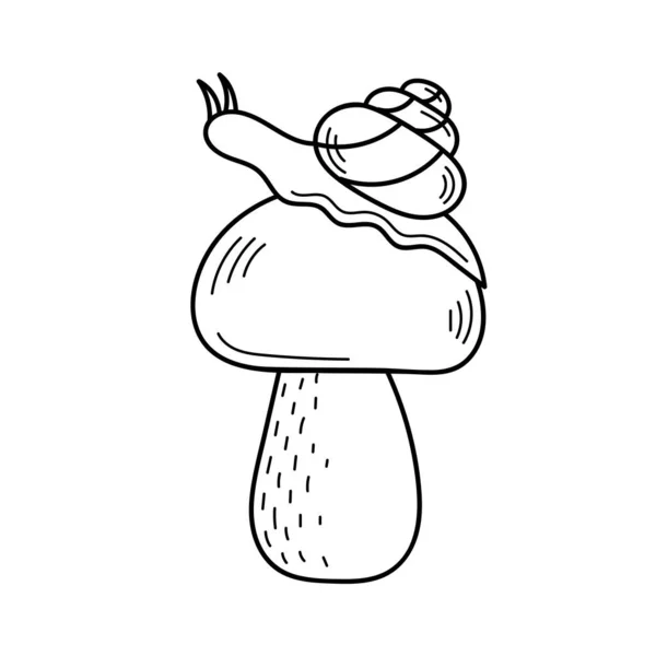 Mignon champignon comestible dans le style doodle. Ingrédients pour la cuisine, salades. Récolte automnale. Illustration vectorielle isolée dessinée à la main pour coloriage, croquis, contour — Image vectorielle