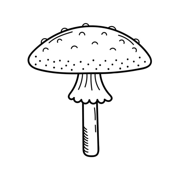 Cogumelo bonito no estilo doodle. Cogumelo venenoso, agaric da mosca, toadstool. Ilustração desenhada à mão vetorial isolada para colorir páginas, esboço, esboço —  Vetores de Stock