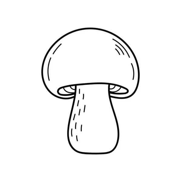 Fungo commestibile carino in stile doodle. Ingredienti per cucinare, insalate. Raccolta autunnale delle piante. Illustrazione disegnata a mano isolata vettoriale per pagine da colorare, schizzi, contorni — Vettoriale Stock