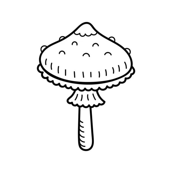 Cogumelo bonito no estilo doodle. Cogumelo venenoso, agaric da mosca, toadstool. Ilustração desenhada à mão vetorial isolada para colorir páginas, esboço, esboço —  Vetores de Stock