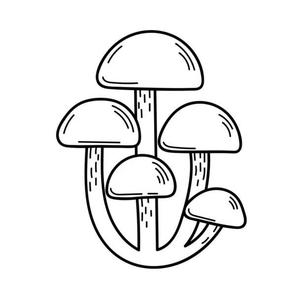 Cute edible mushroom in doodle style. Ingredients for cooking, salads. Autumn plant harvesting. Vector isolated hand drawn illustration for coloring pages, sketch, outline — Stock Vector