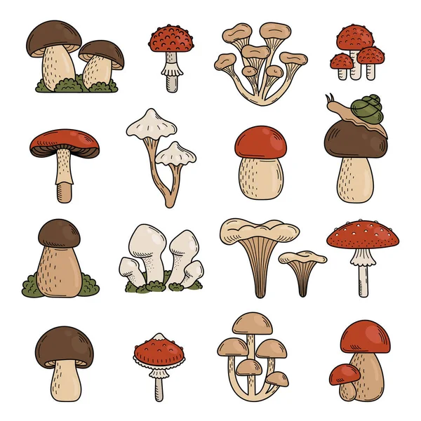 Conjunto de cogumelos doodle bonitos. Cogumelos comestíveis e venenosos, mosca agárica, toadstool, cogumelo porcini. Ilustração da mão vetorial — Vetor de Stock