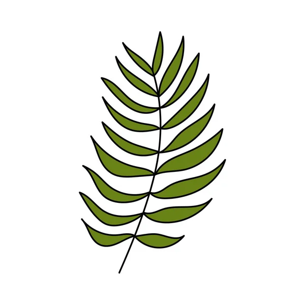 Palm Leaf Tropical Plant Simple Illustration Summer Icon — Vettoriale Stock