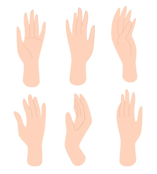 Set of female hands in different gestures. Human hands, palms. Vector illustration in flat style isolated on white background. — Stock Vector