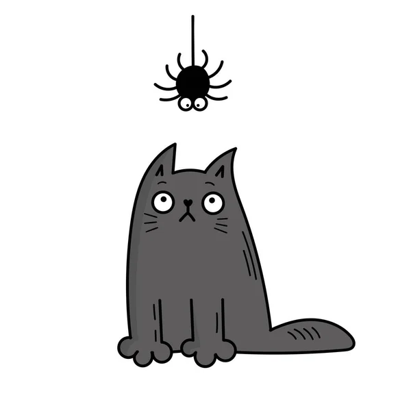 Słodki Szary Kot Patrzy Pająka Halloween Ilustracja Stylu Doodle — Wektor stockowy