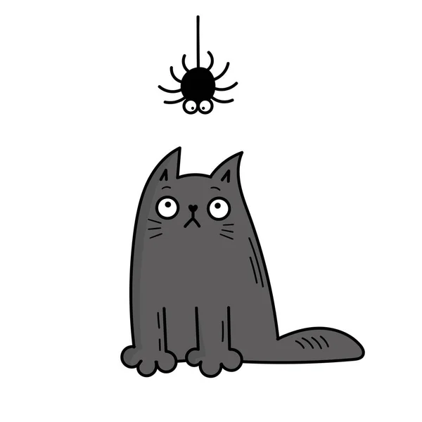 Şirin gri bir kedi bir örümceğe bakar. Cadılar Bayramı. Doodle biçim illüstrasyonu