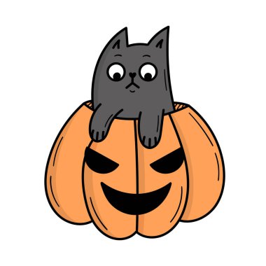 Tatlı gri bir kedi Cadılar Bayramı için balkabağının içinde oturur. Doodle biçim illüstrasyonu
