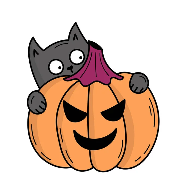 Mignon Chat Gris Avec Citrouille Pour Halloween Illustration Style Caniche — Image vectorielle