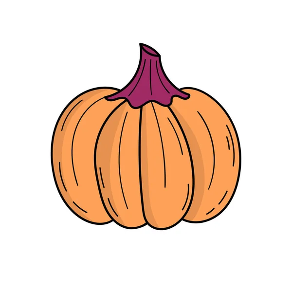 Cute Pumpkin Autumn Harvest Halloween Decor Doodle Style Illustration — Stock Vector