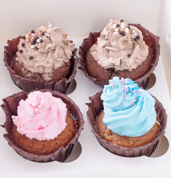 Quattro cupcake in scatola bianca Foto Stock Royalty Free