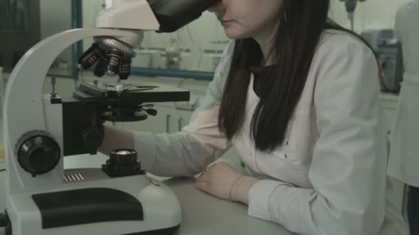 Microscópio — Vídeo de Stock