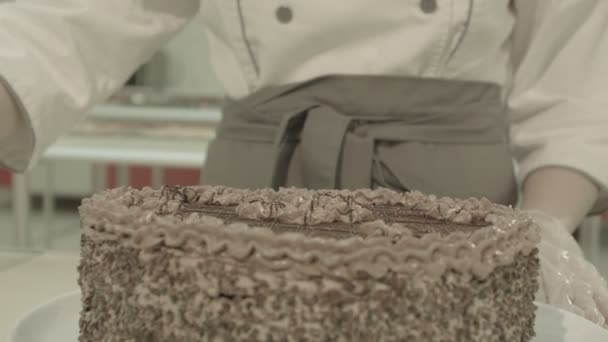 Close-up van het verfraaien van de Cake met een crème — Stockvideo
