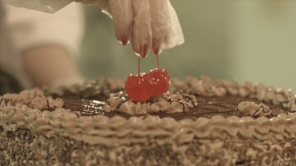 Крупный план украшения торта кремом — стоковое видео