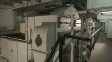 Ayçiçeği tohumu işleme