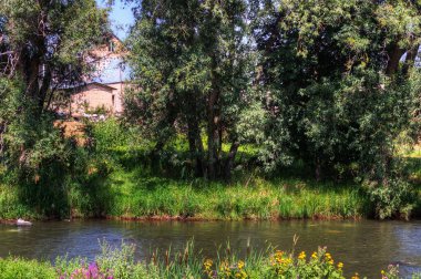 Doğada, bir nehir ve ağaçları olan bir ev.