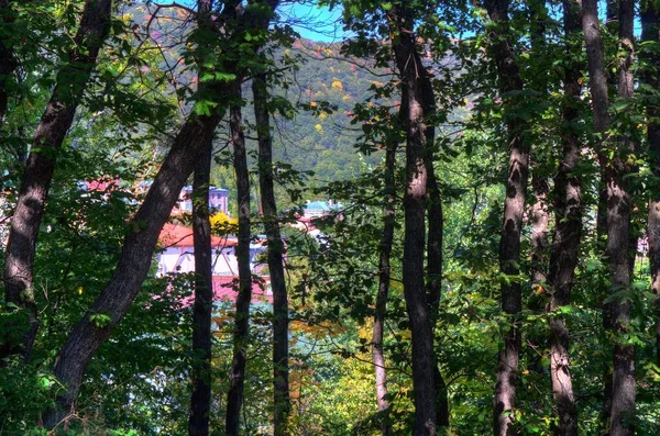 Doğada dinlenmek için iyi bir ortam.