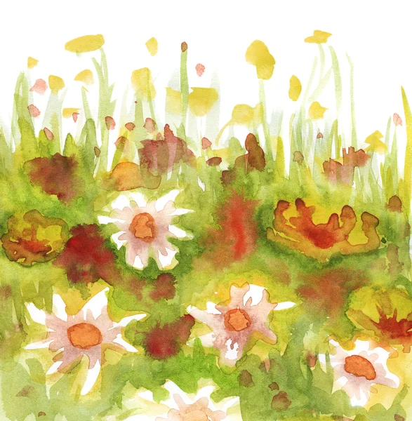 Gras und Blumen — Stockfoto