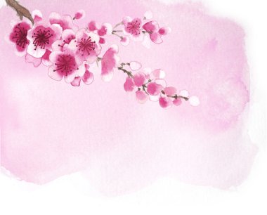 sakura çizilmiş Şubesi