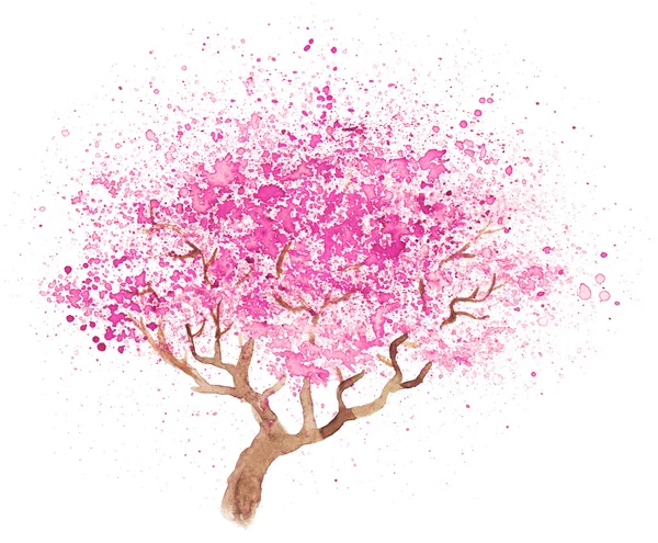 Ilustración de sakura — Foto de Stock
