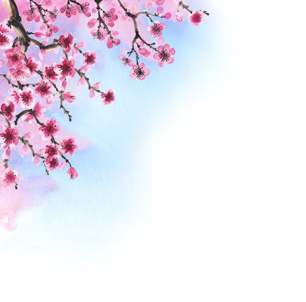 Handgetekende tak van sakura — Stockfoto