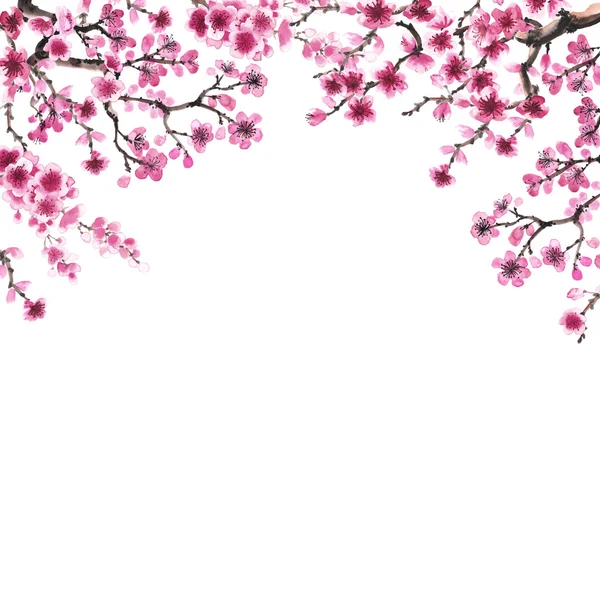 Handgetekende tak van sakura — Stockfoto