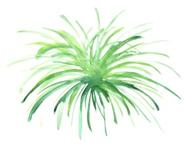 Yeşil çim elle çizilmiş