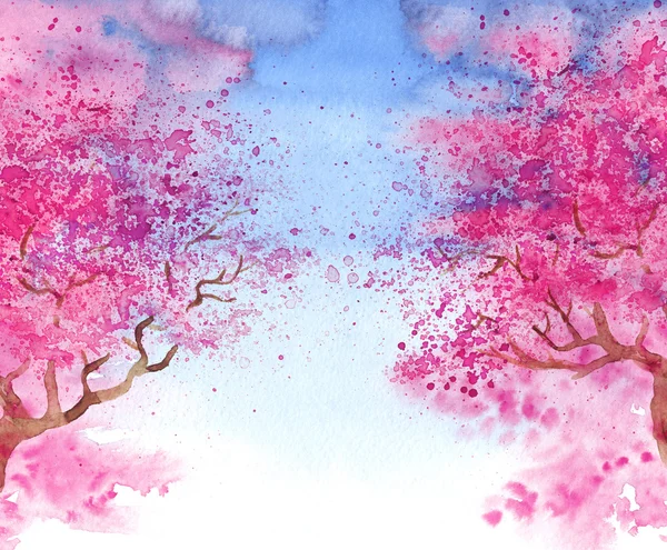 Ilustracja kwitnący Sakura — Zdjęcie stockowe