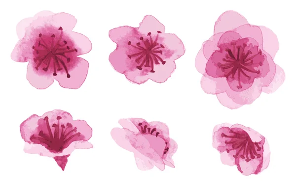 Hand-drawn sakura flowers — Stock Vector