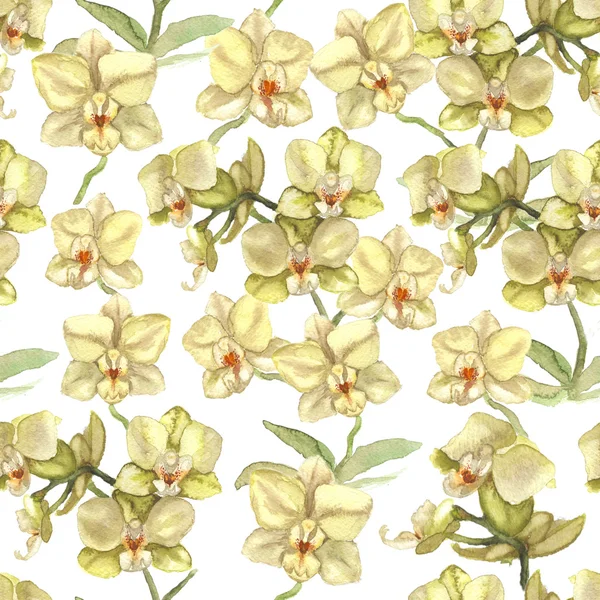 Ilustracja Biała orchidea — Zdjęcie stockowe