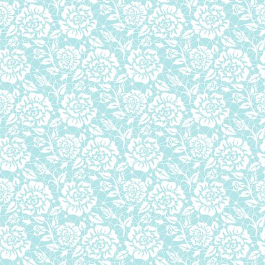 Tertemiz beyaz dantel