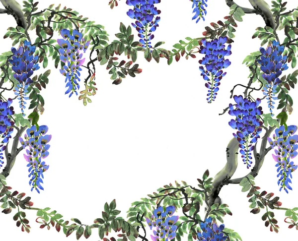 Árvore de wisteria azul — Fotografia de Stock