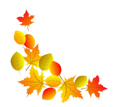 renkli sonbahar yaprakları