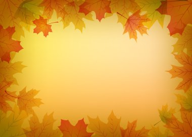 renkli sonbahar yaprakları