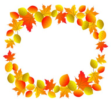 izole kırmızı yaprakları