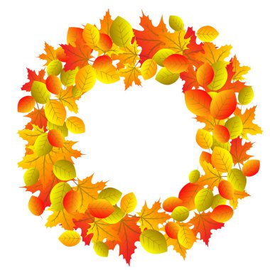 izole kırmızı yaprakları