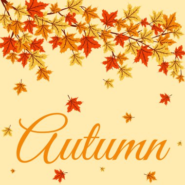 ağaç dalları ve turuncu yaprak