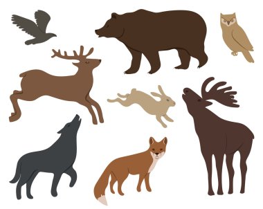 Vahşi orman hayvanları