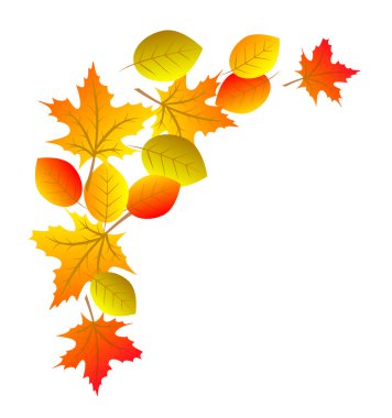 renkli sonbahar yaprakları