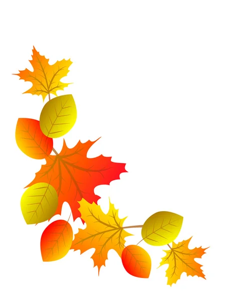 Autumn colorful leaves — Stock Vector