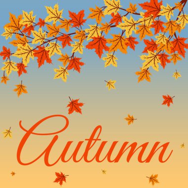 ağaç dalları ve turuncu yaprak