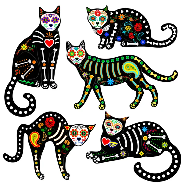 Conjunto de gatos calavera — Vector de stock