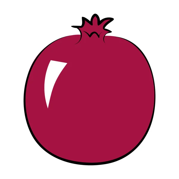 Pomegranate — Stock Vector