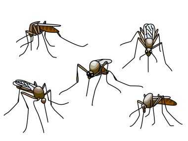 biting mosquitoes clipart