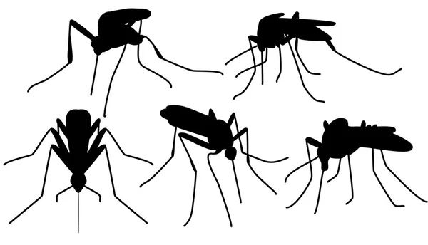 Mosquitos mordedores — Vetor de Stock