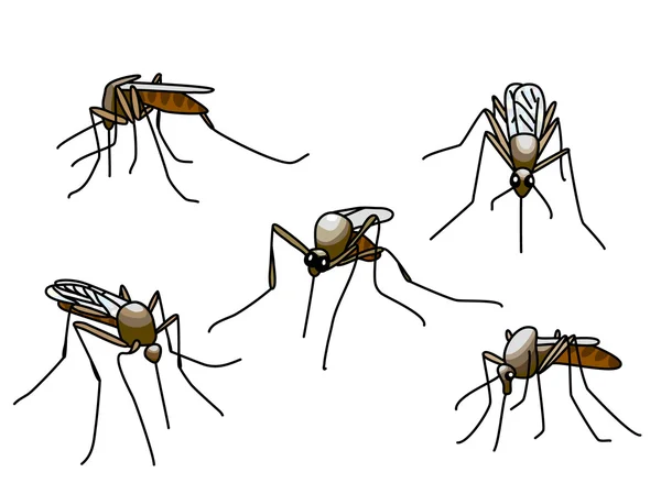 Кусающие комары — стоковый вектор